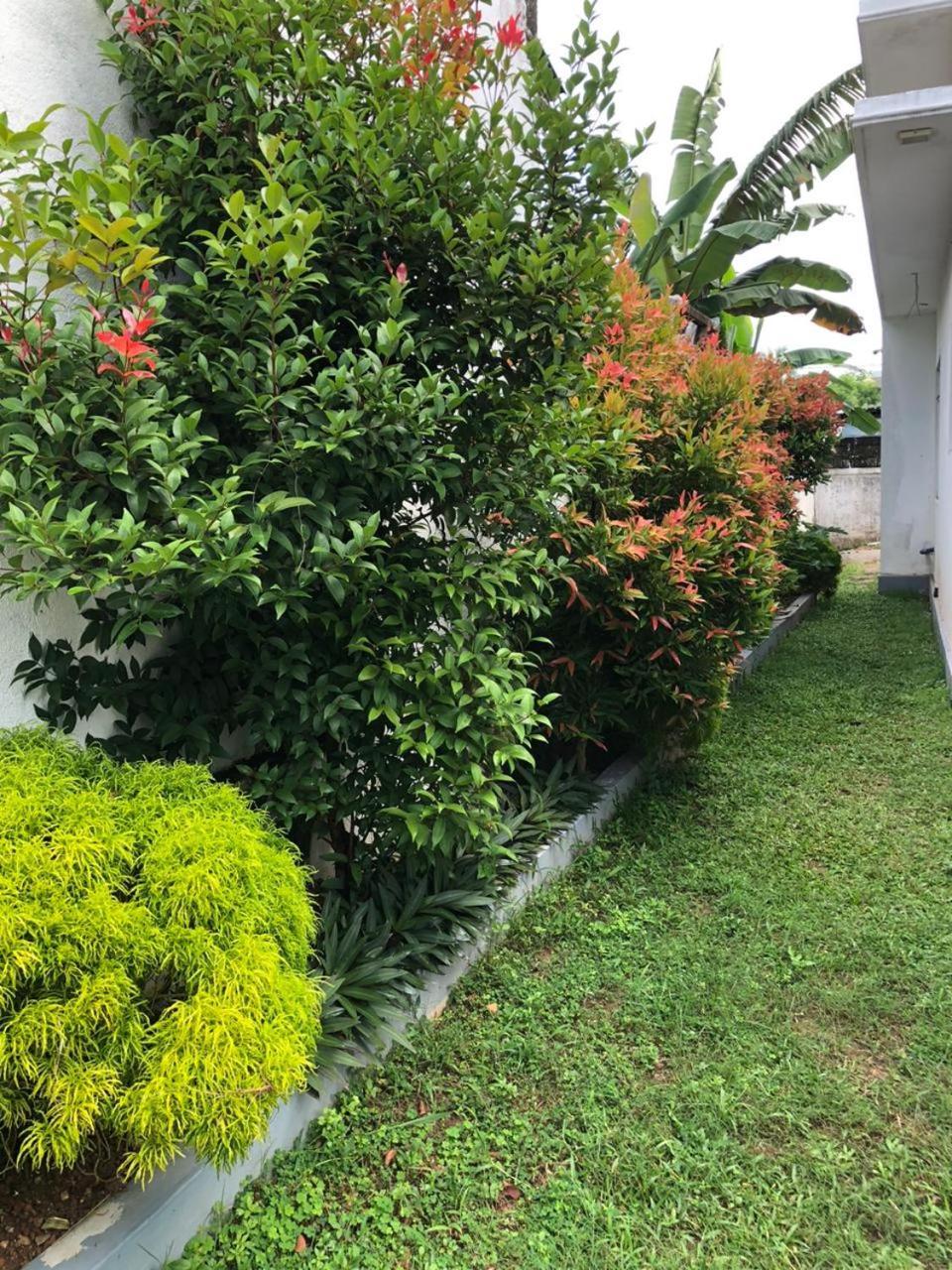 Vidushi Home Minuwangoda Exterior photo